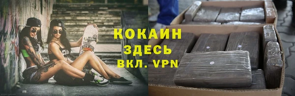 дживик Аркадак