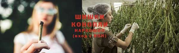 прущие крисы Армянск