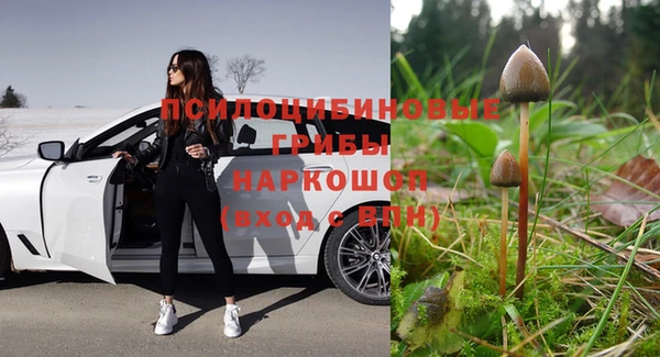 герыч Арсеньев
