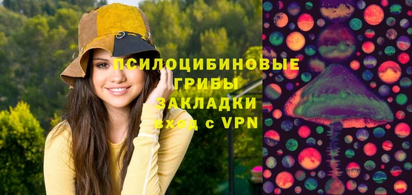 дживик Аркадак