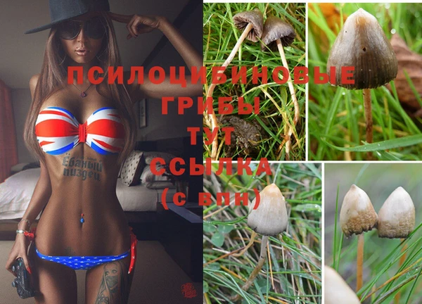 герыч Арсеньев
