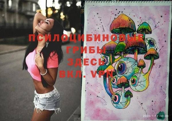герыч Арсеньев